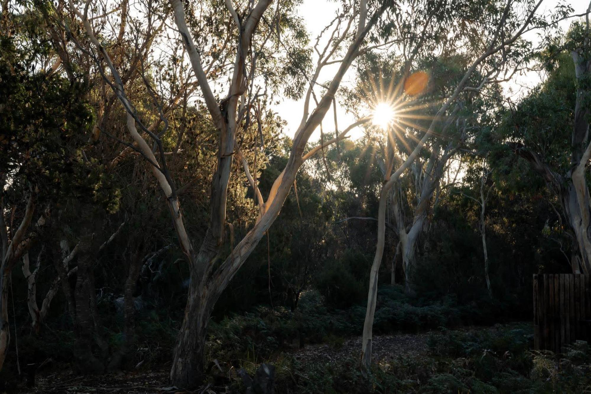 科尔斯湾 Numie - Freycinet Peninsula - Glamping - Heated - Waterfront酒店 外观 照片