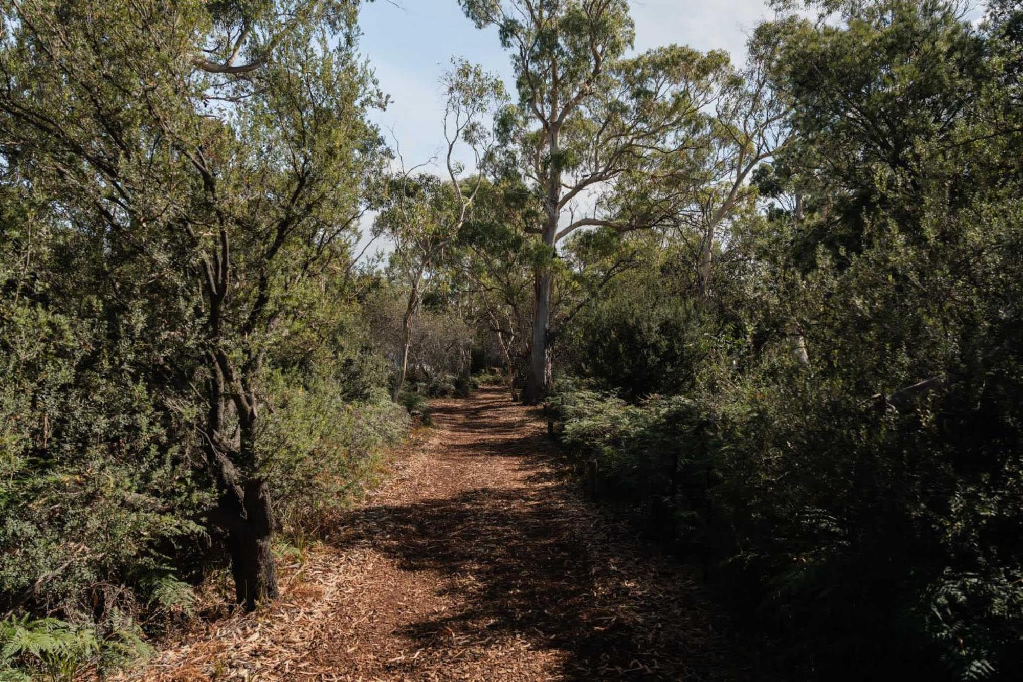 科尔斯湾 Numie - Freycinet Peninsula - Glamping - Heated - Waterfront酒店 外观 照片