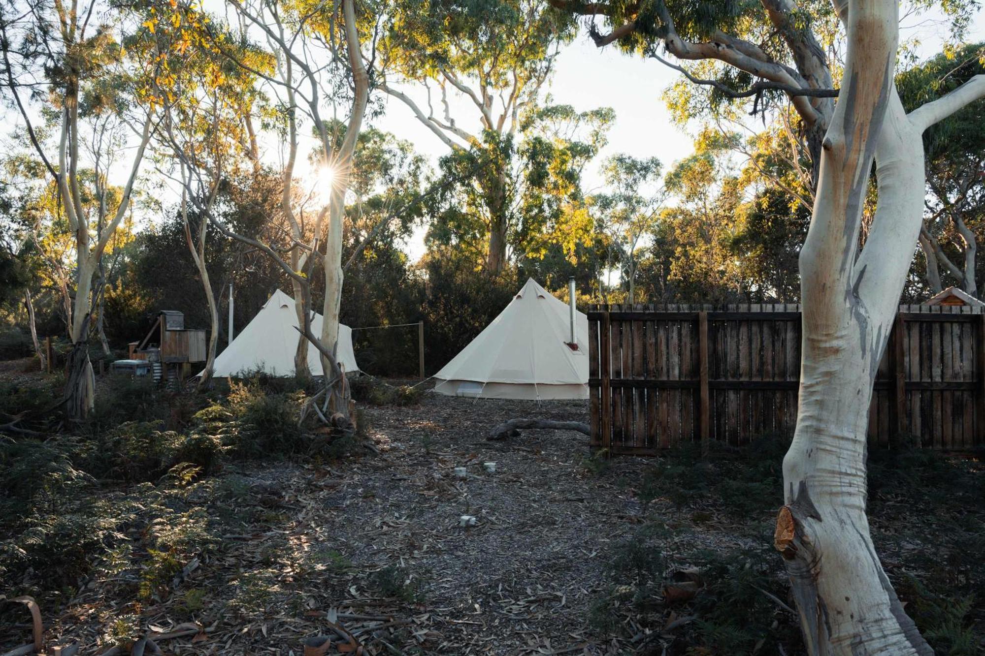 科尔斯湾 Numie - Freycinet Peninsula - Glamping - Heated - Waterfront酒店 外观 照片