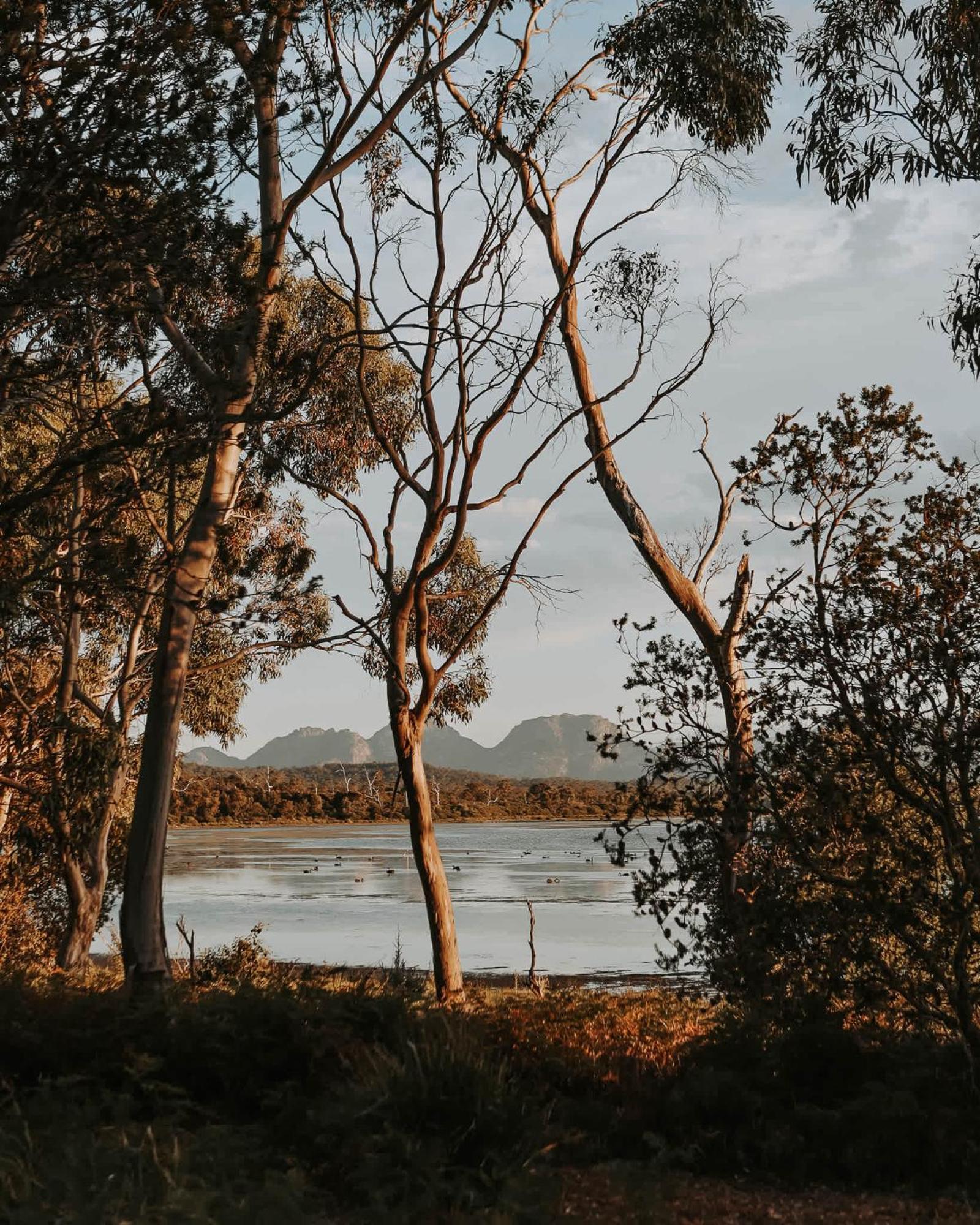 科尔斯湾 Numie - Freycinet Peninsula - Glamping - Heated - Waterfront酒店 外观 照片
